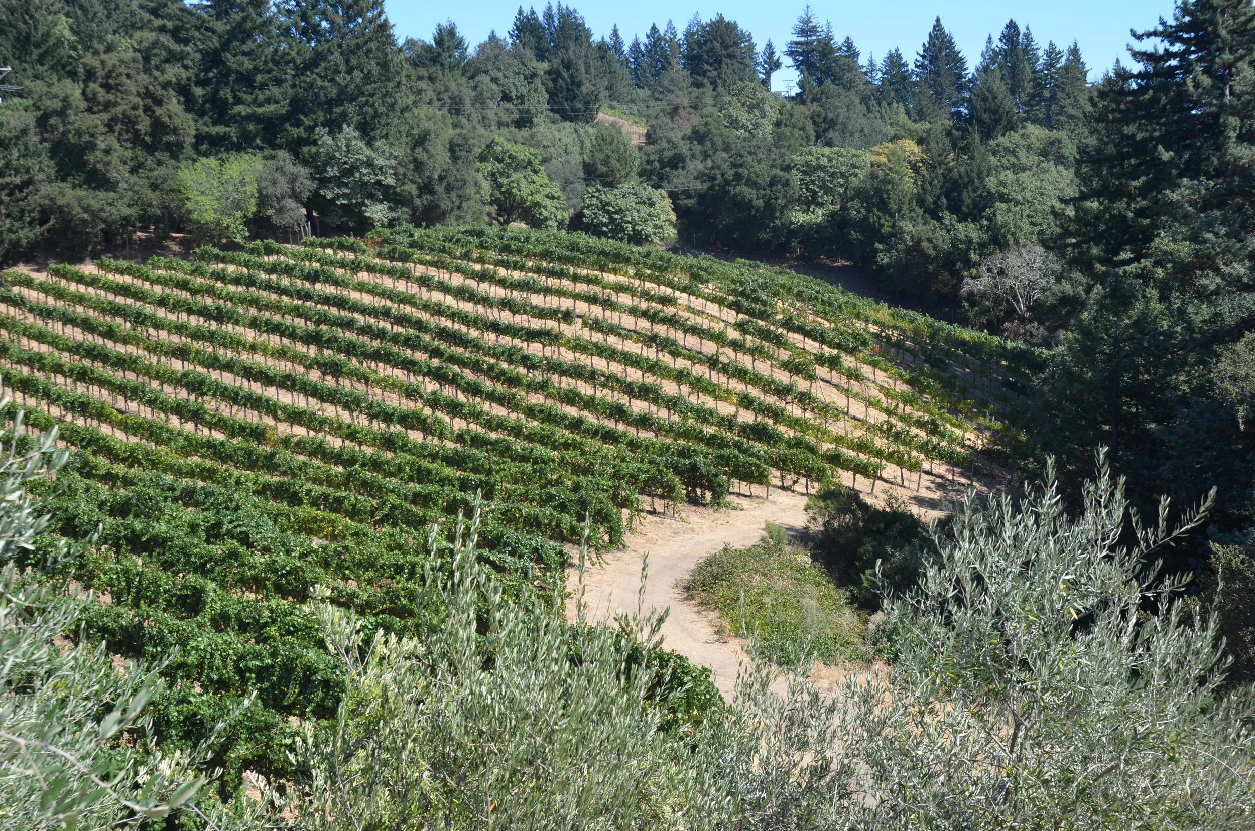 DSC_2767.JPG