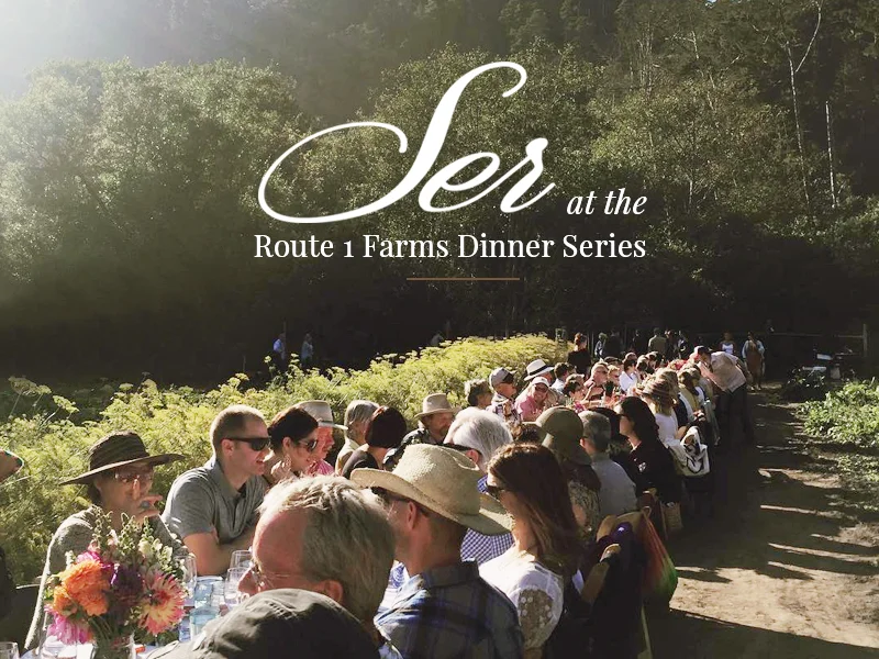 ser-route-1-dinner.jpg