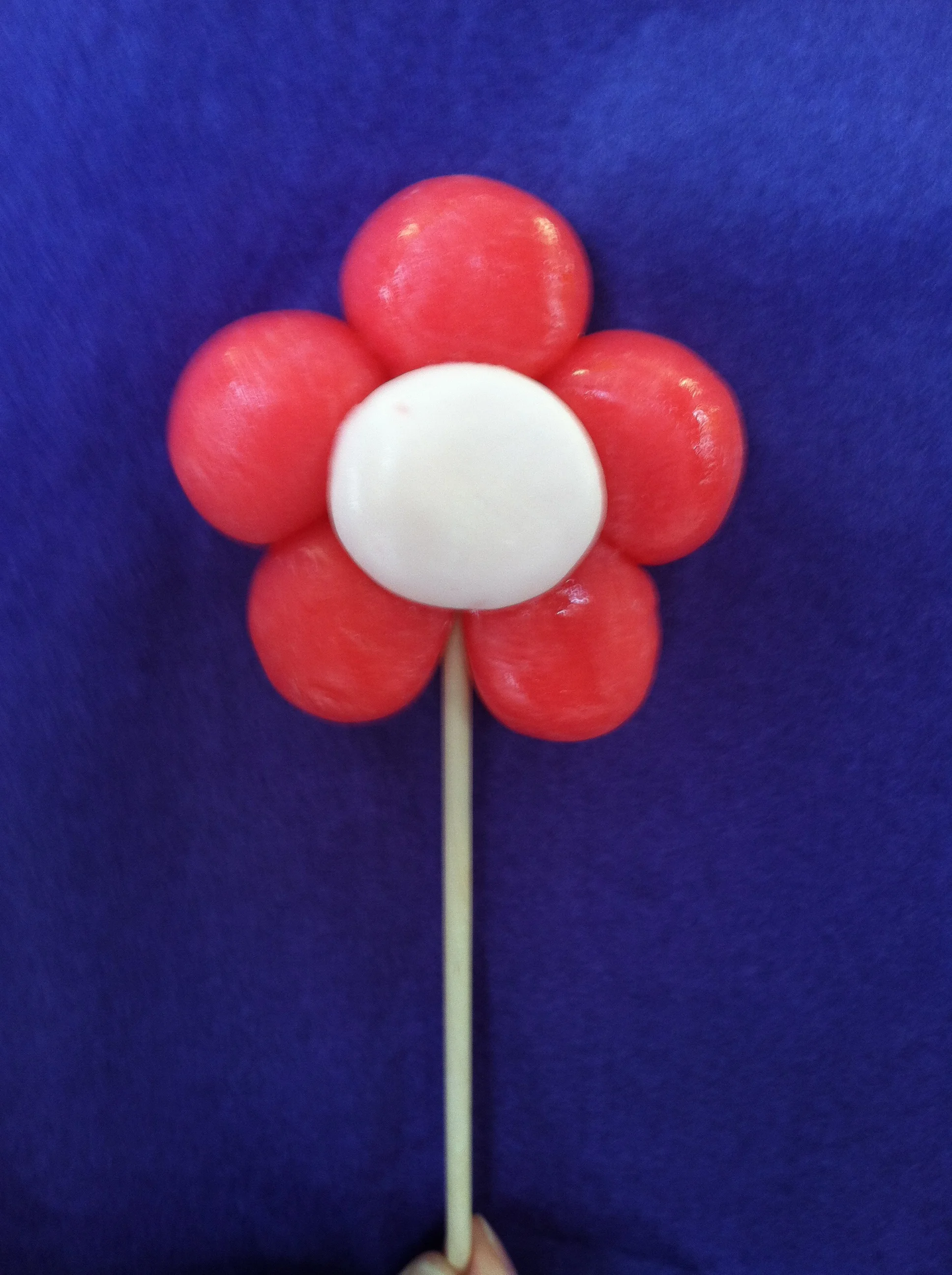 Photos from old photo 12.2016 096.JPG