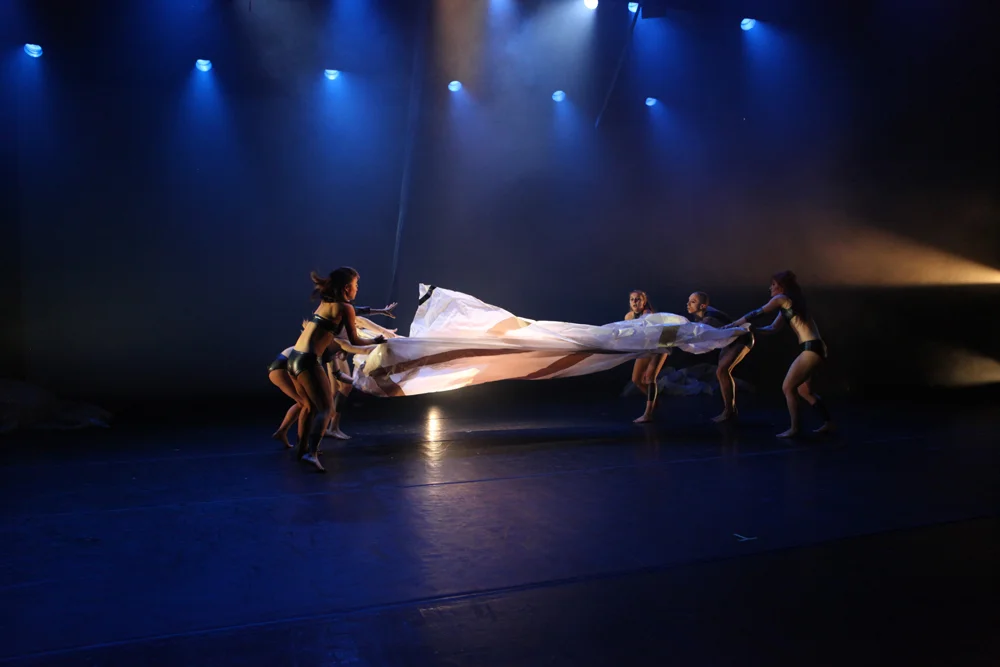Choreography : Laurel Walker, Diego Andrés Gasca, Rachael Hoppock Set : Stephan Moravsky Costumes : Izzy Fileds 2012