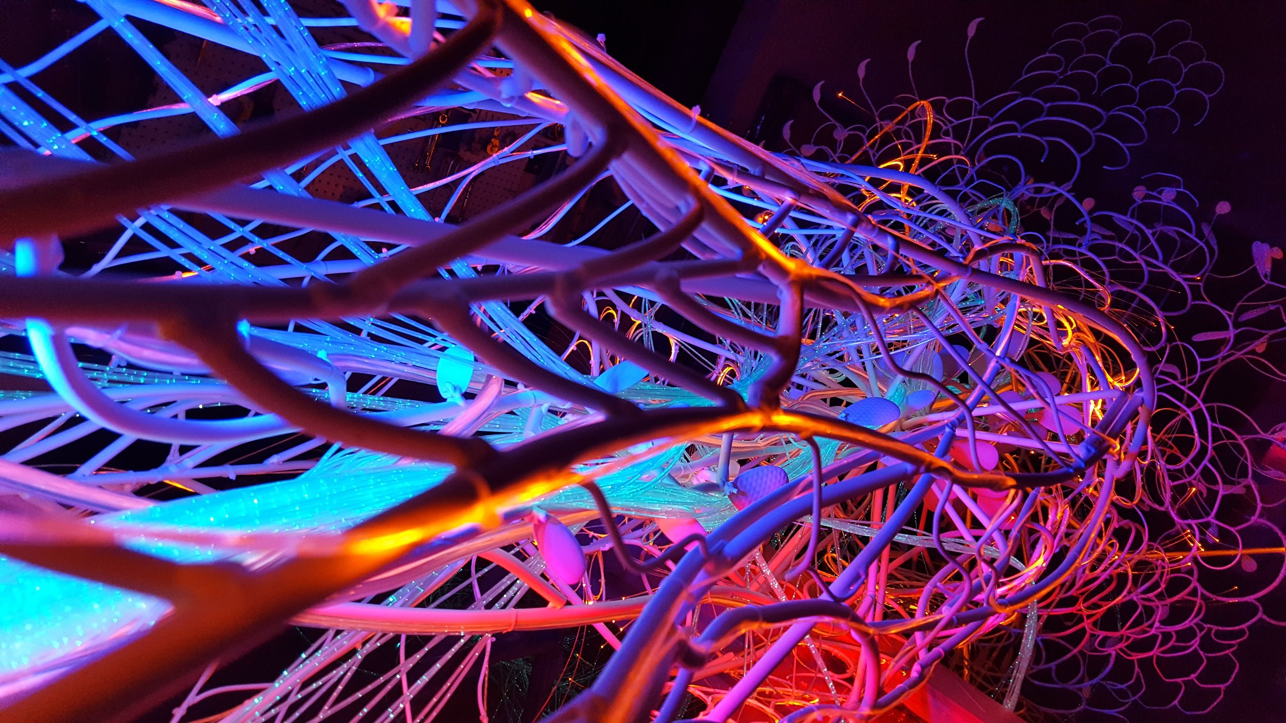  Artist : Claudia Bueno  Steel, LED Light and Fiber Optics 