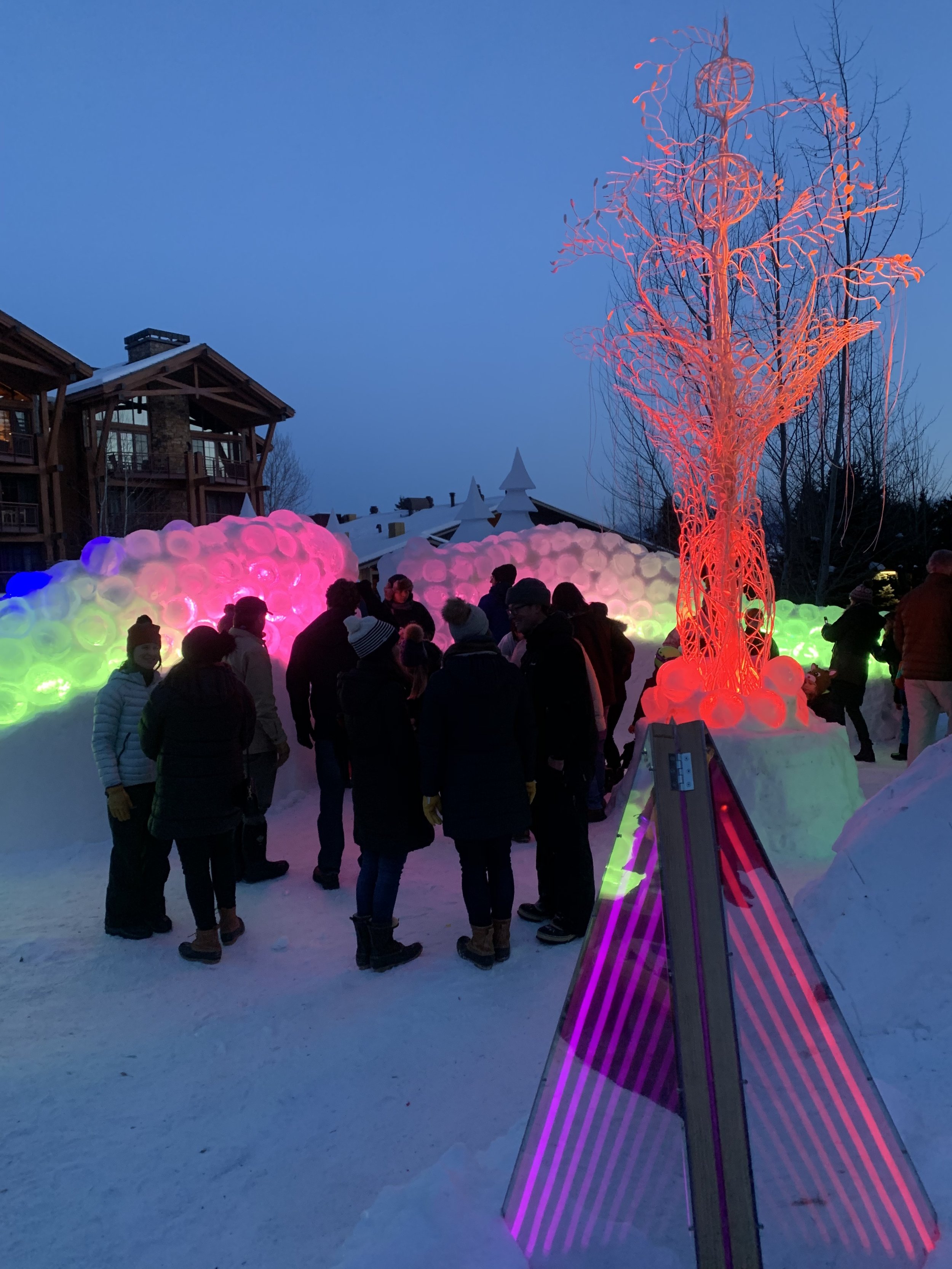  Artist : Claudia Bueno, Bland Hoke, Walter Gerald  Steel, LED Light and Fiber Optics, Snow, Ice, Slush, Wood, Acrylic 