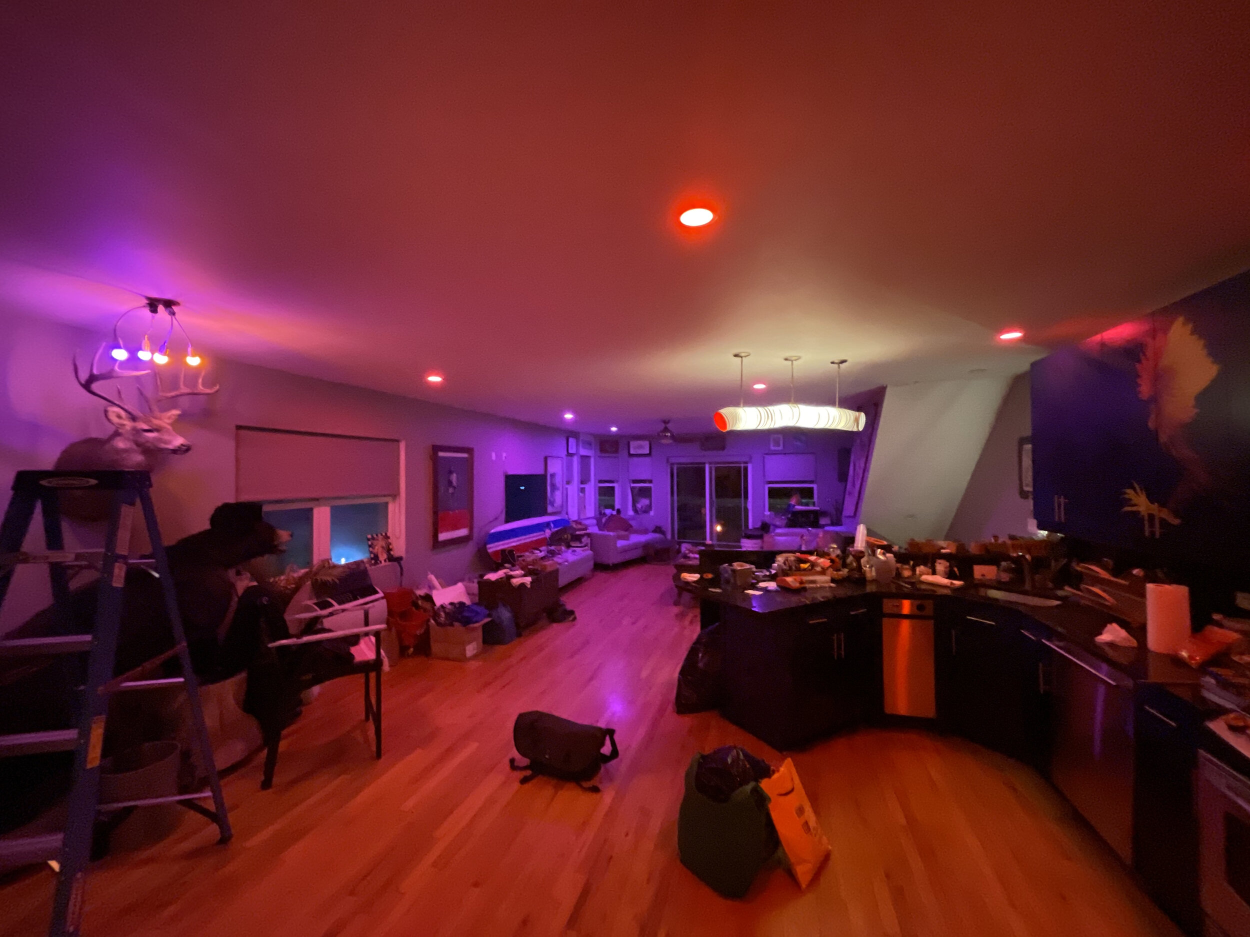 Hue Bulbs