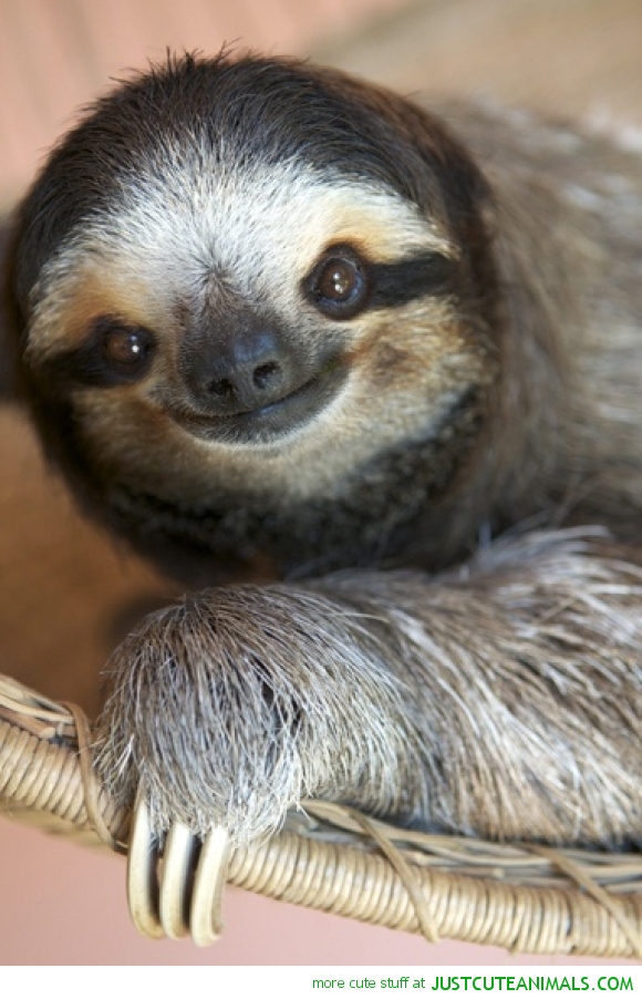 "I'm happy, when you're happy." 