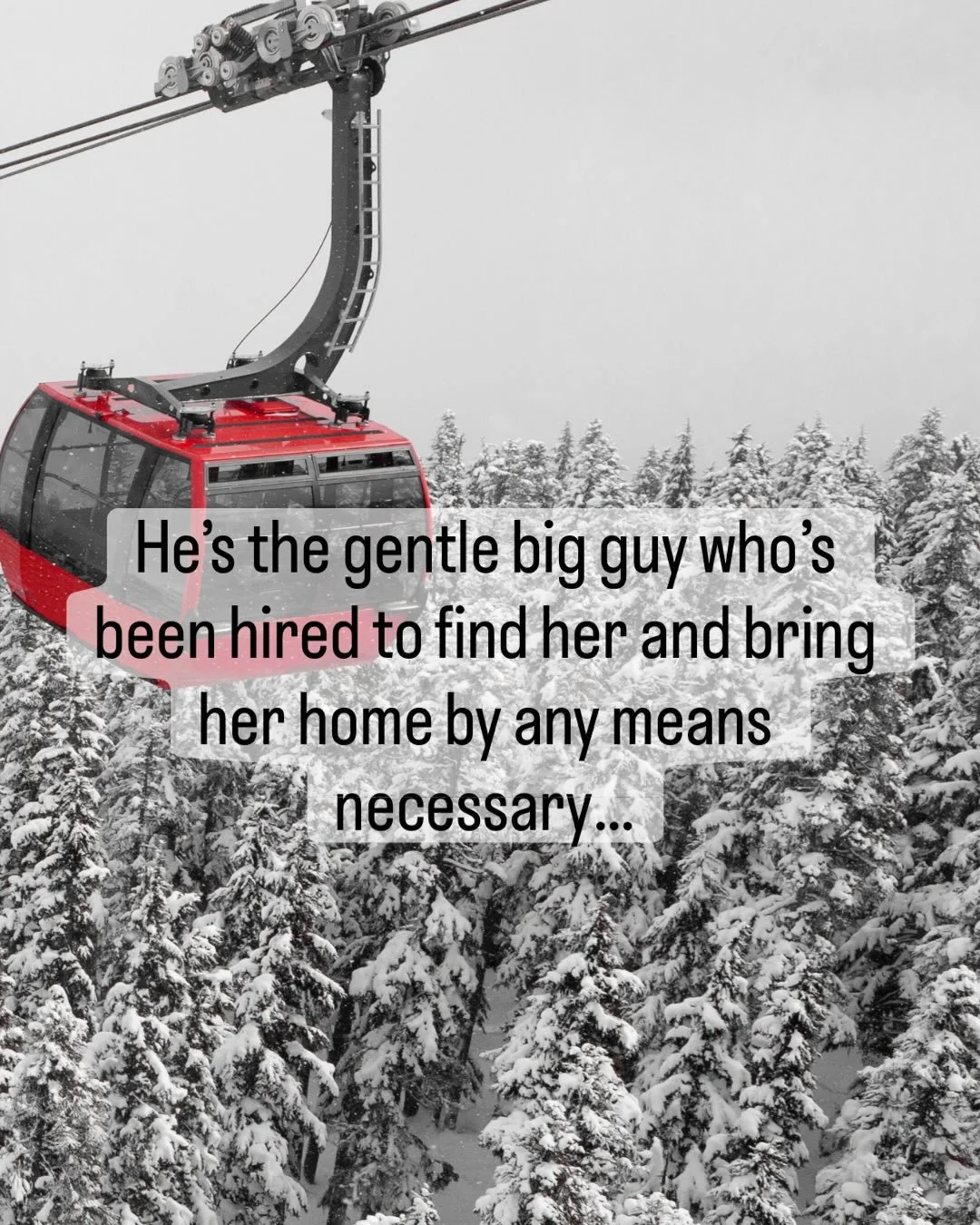 And then they get stranded together in the storm. Ope! 🤫 

ALL DOWNHILL FROM HERE by Piper Sheldon 

#booksbooksbooks #forcedproximityromance #NYEromance #holidaybooks #holidayromance