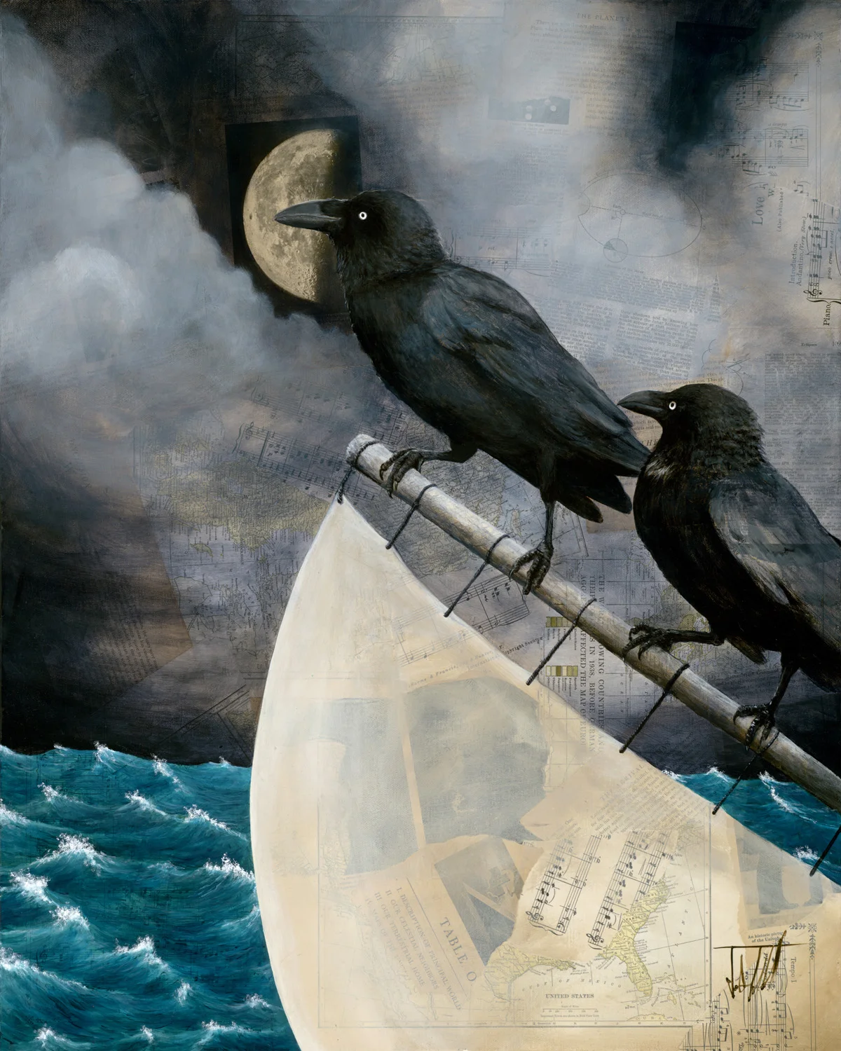 Sea Faring Crow