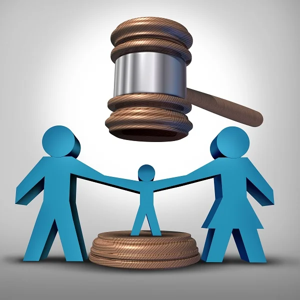 Expert Testimony in Child Custody Cases