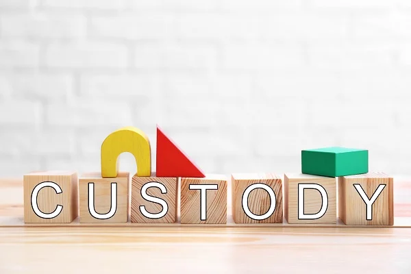 Fighting for a Change in Custody