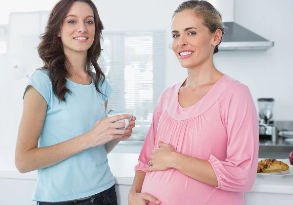 Surrogacy Agreements