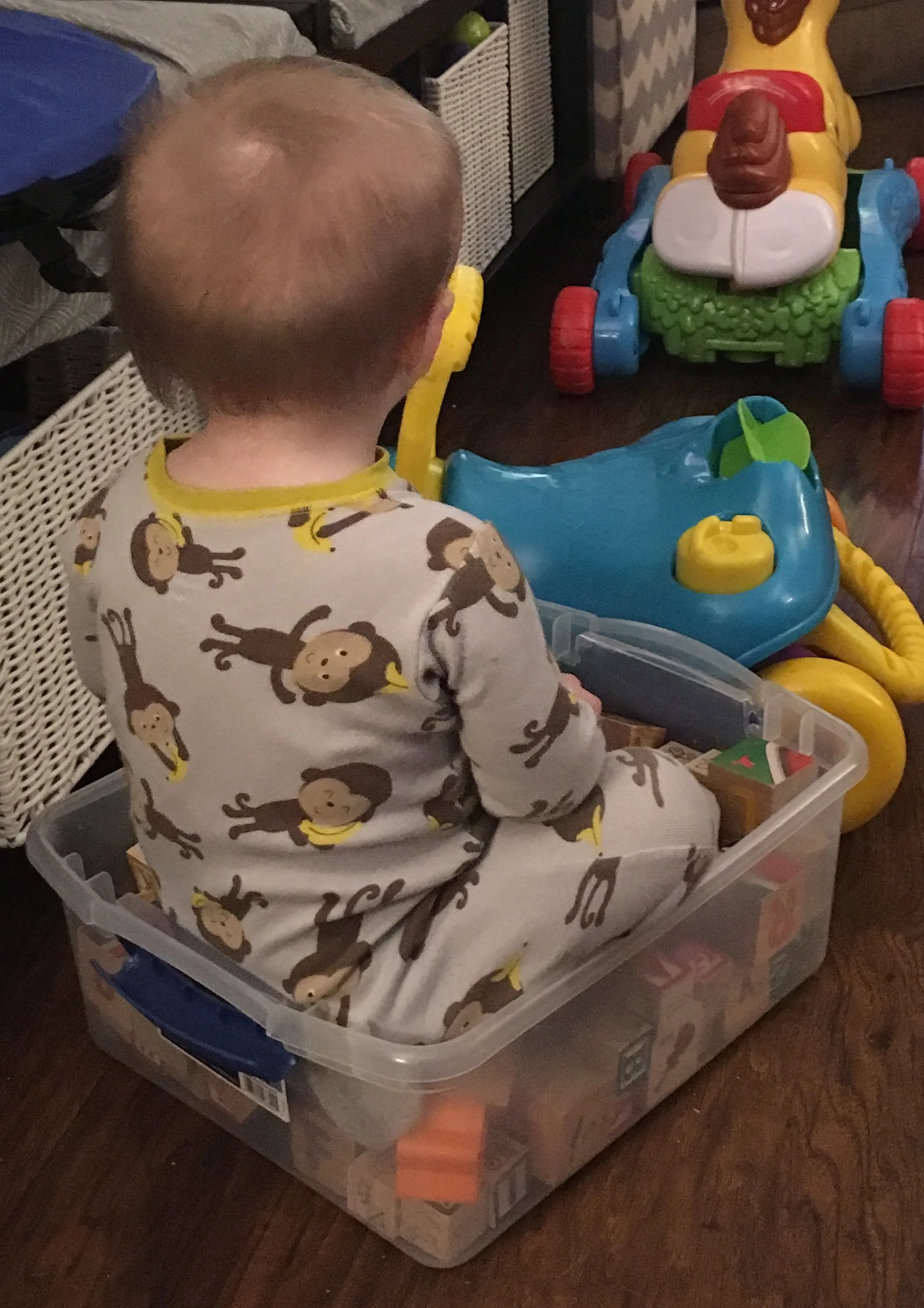 Julian in a box.