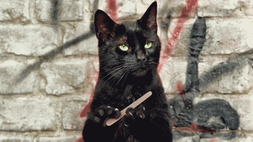 giphy (6).gif