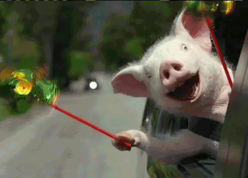 giphy (1).gif