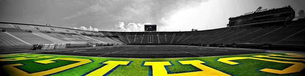 Low Field_Michigan Stadium)Adam Jacobs Photography.jpg