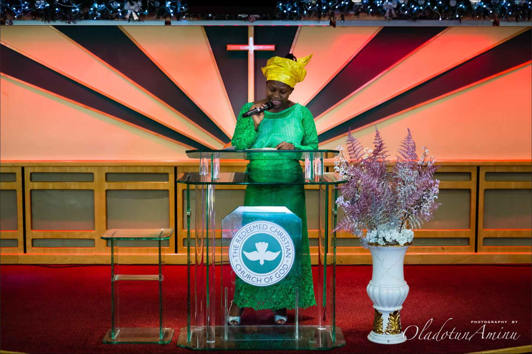 AdeAnu2014-119.jpg
