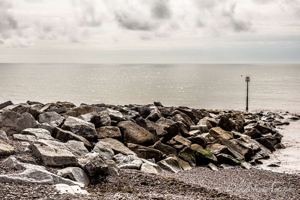 Devon-1008.jpg