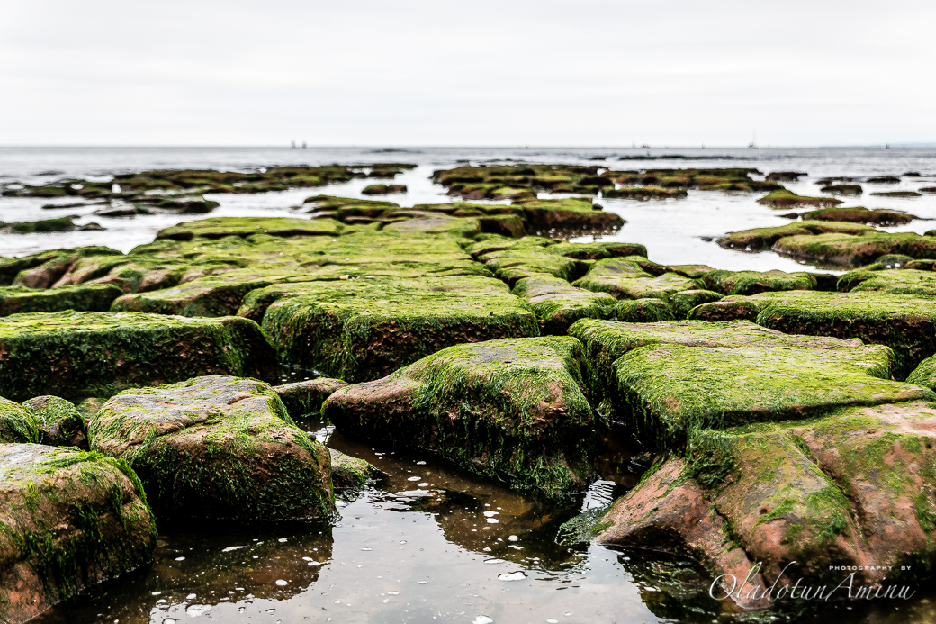 Devon-1030.jpg