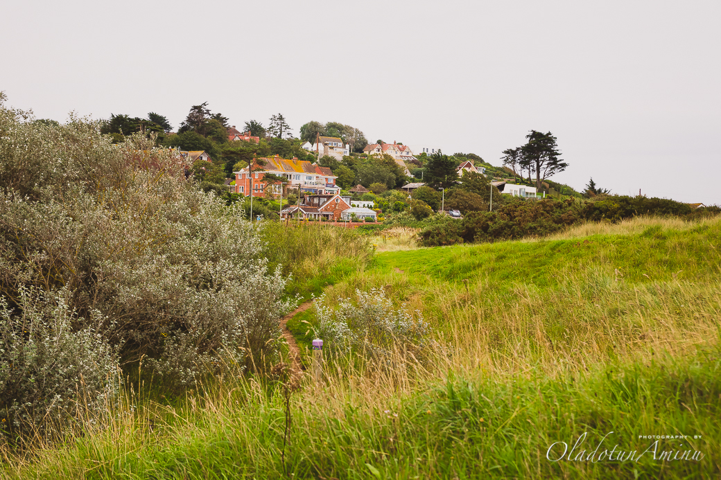 Devon-1038.jpg