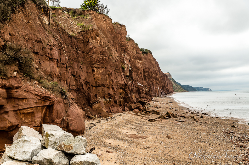 Devon-1040.jpg