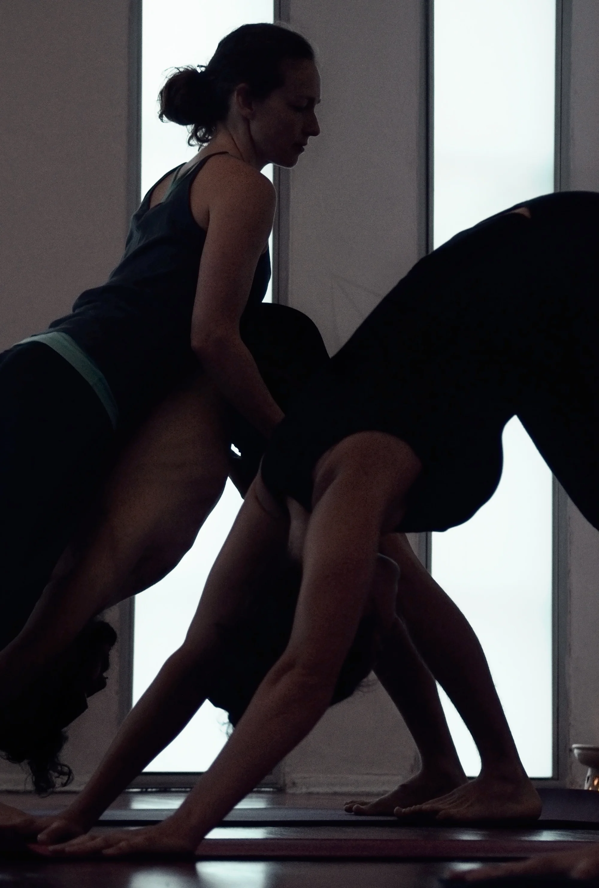 yoga-adjust-final2000-less-pink,-darker.jpg