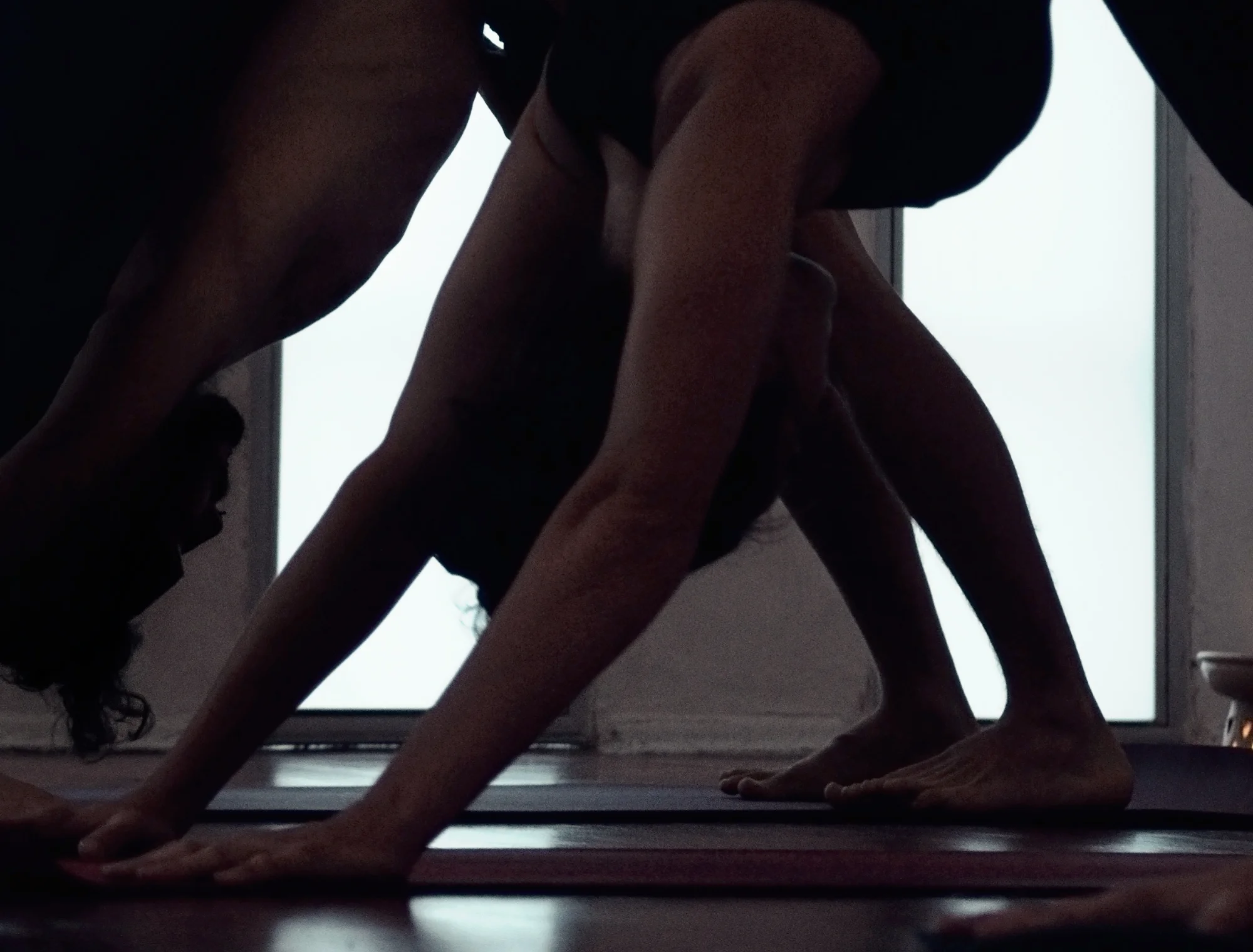 yoga-adjust-final2000-less-pink,-darkerlowerhalf.jpg