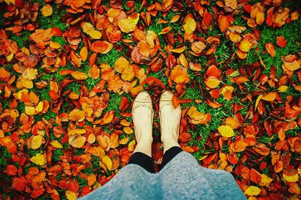 Golden Leaves in Autumn | Cloudberry Lane