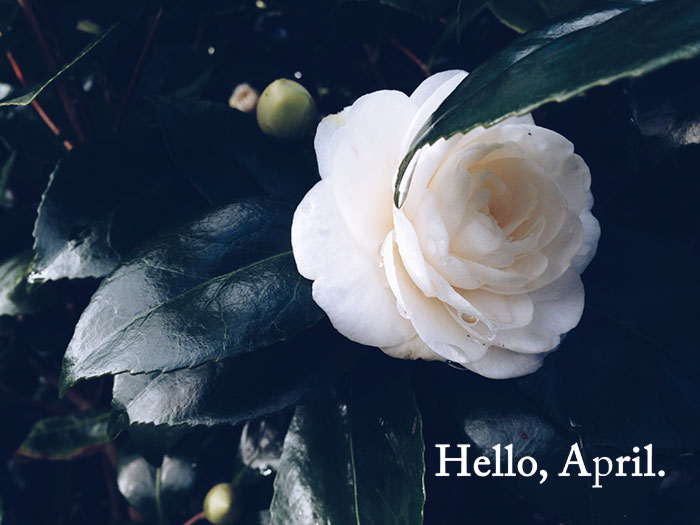 Hello, April 2014 | Cloudberry Lane