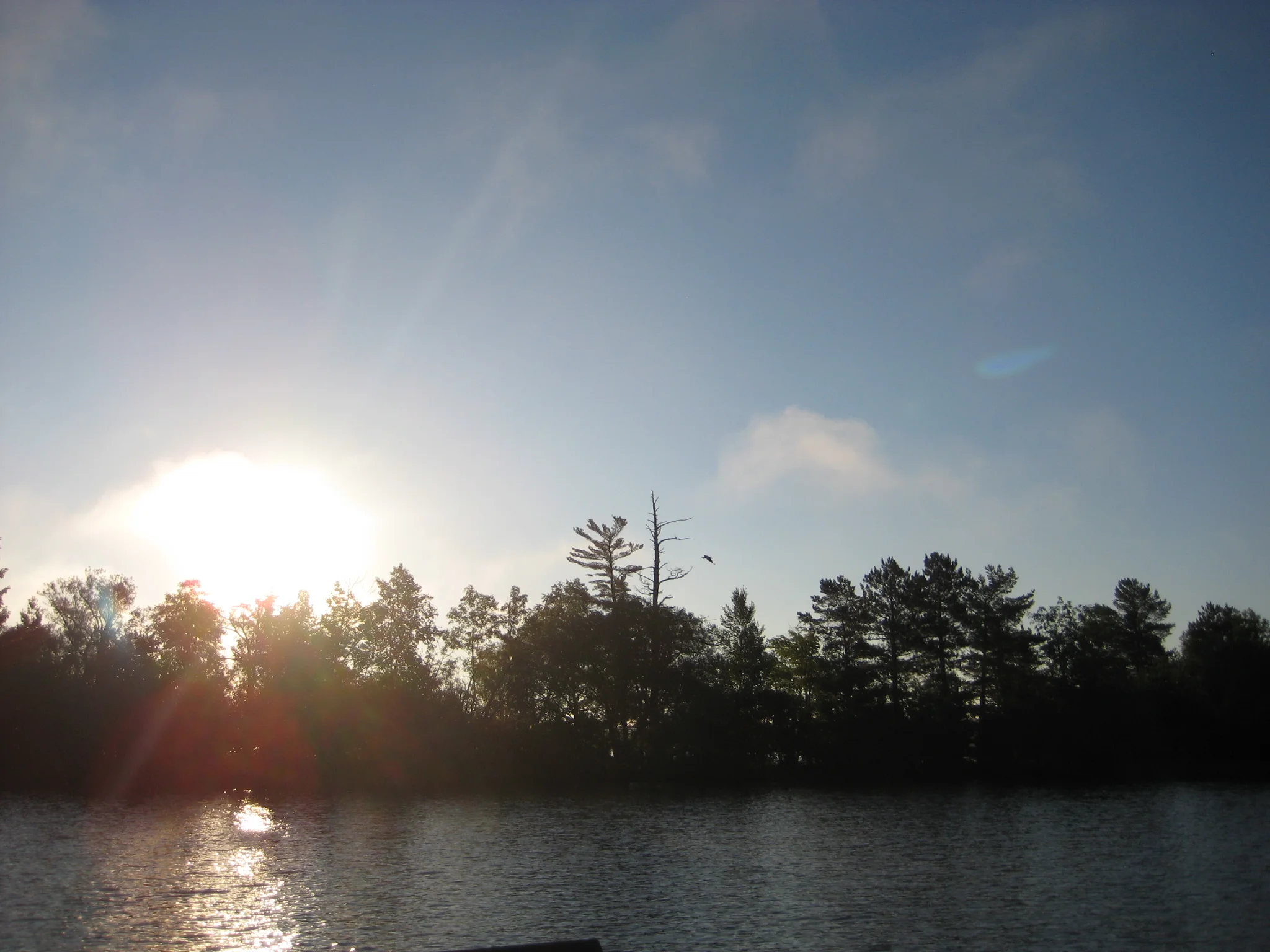 IMG_2651.JPG