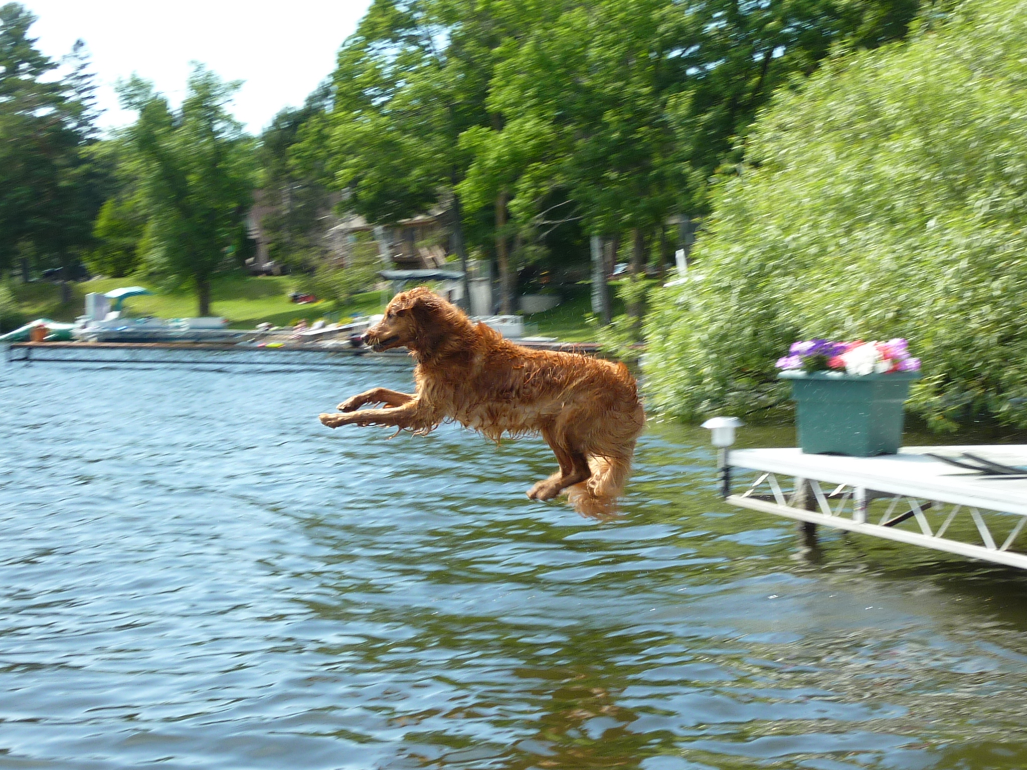 FUN - 1st Place - Erin_Swanstrom_P1010848.JPG