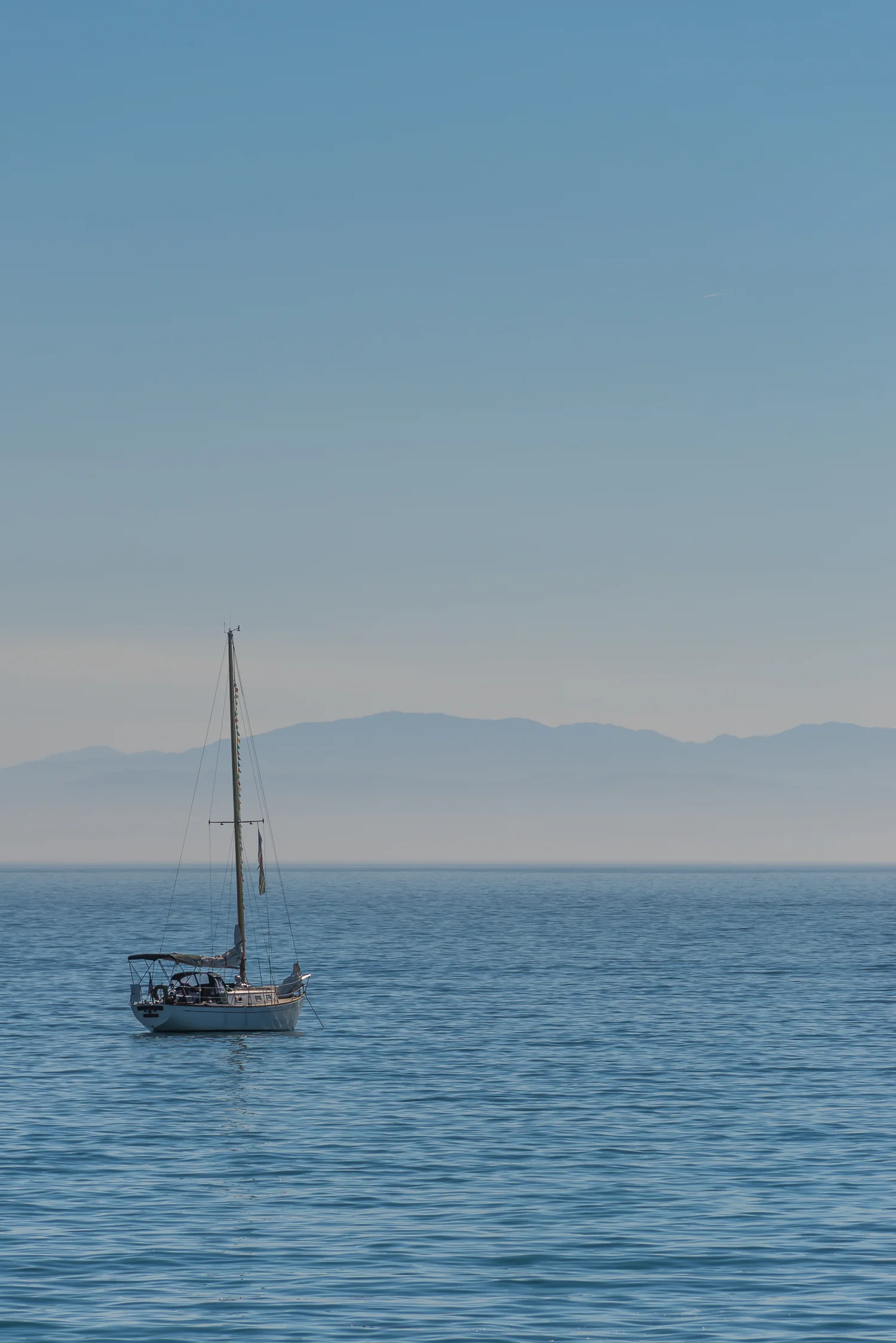 DSC_4242.jpg