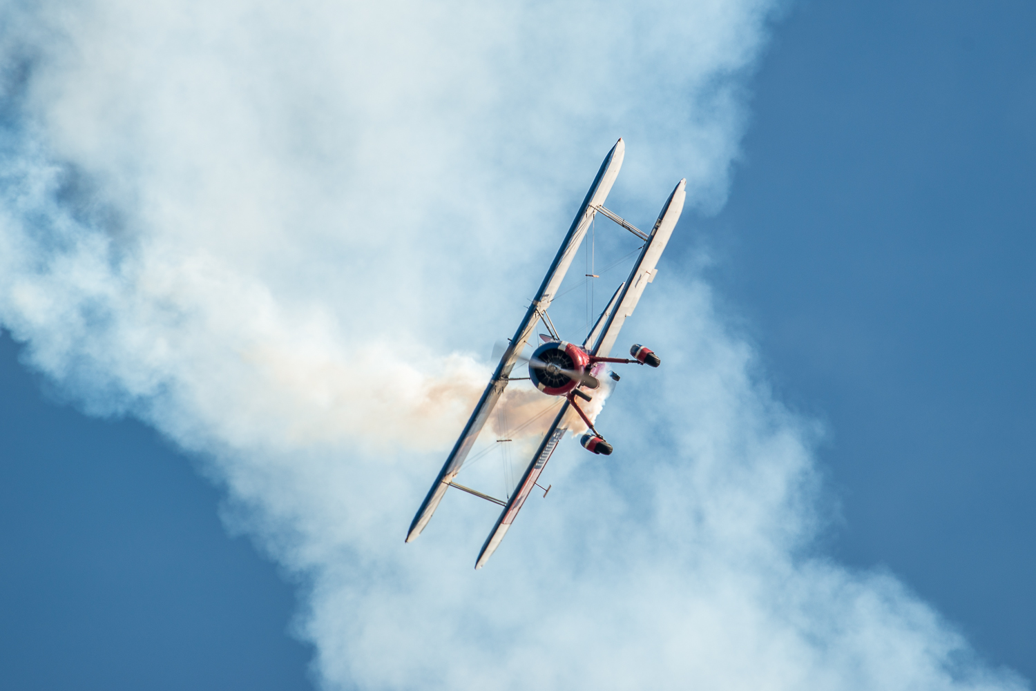 DSC_2466.jpg