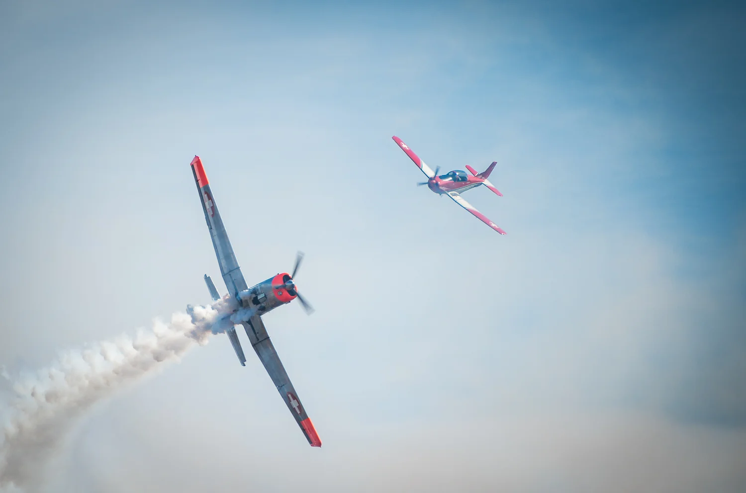 DSC_2503.jpg
