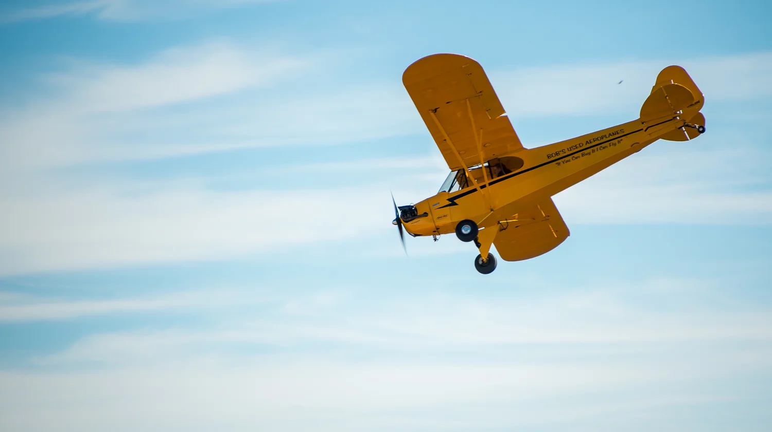 DSC_2589.jpg