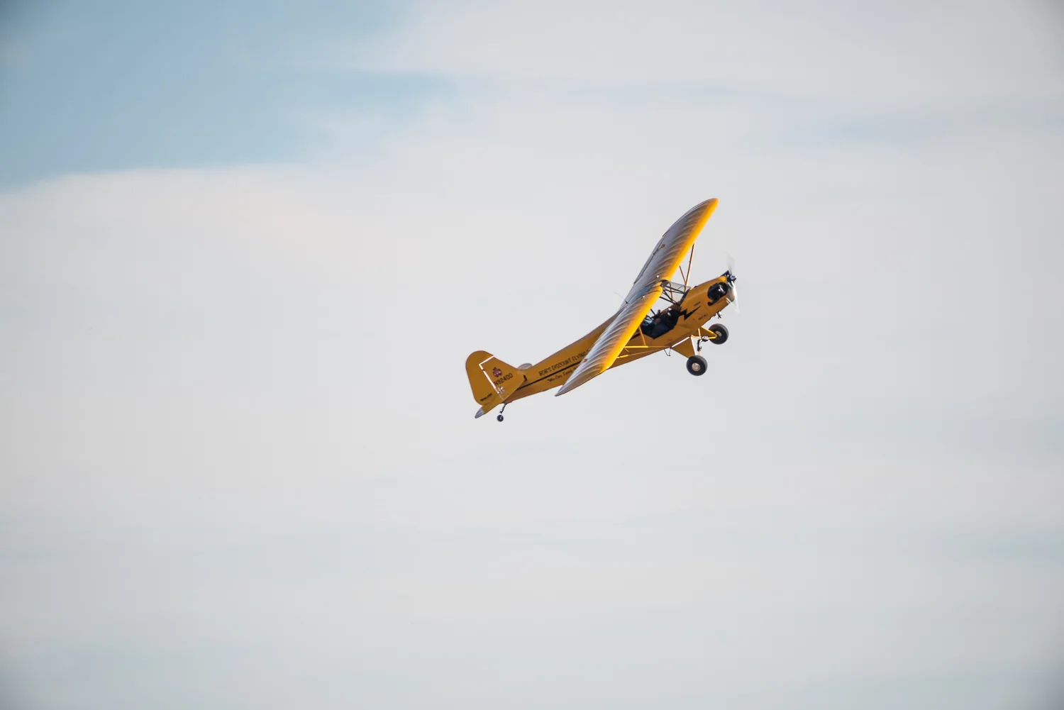DSC_2591.jpg