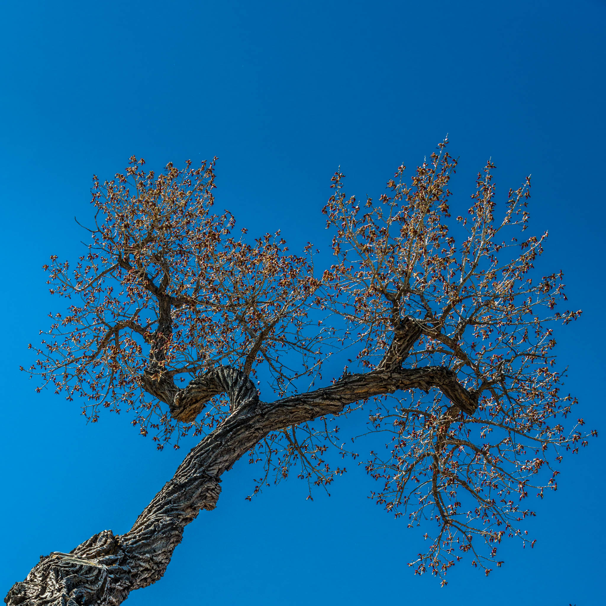 DSC_6869.jpg