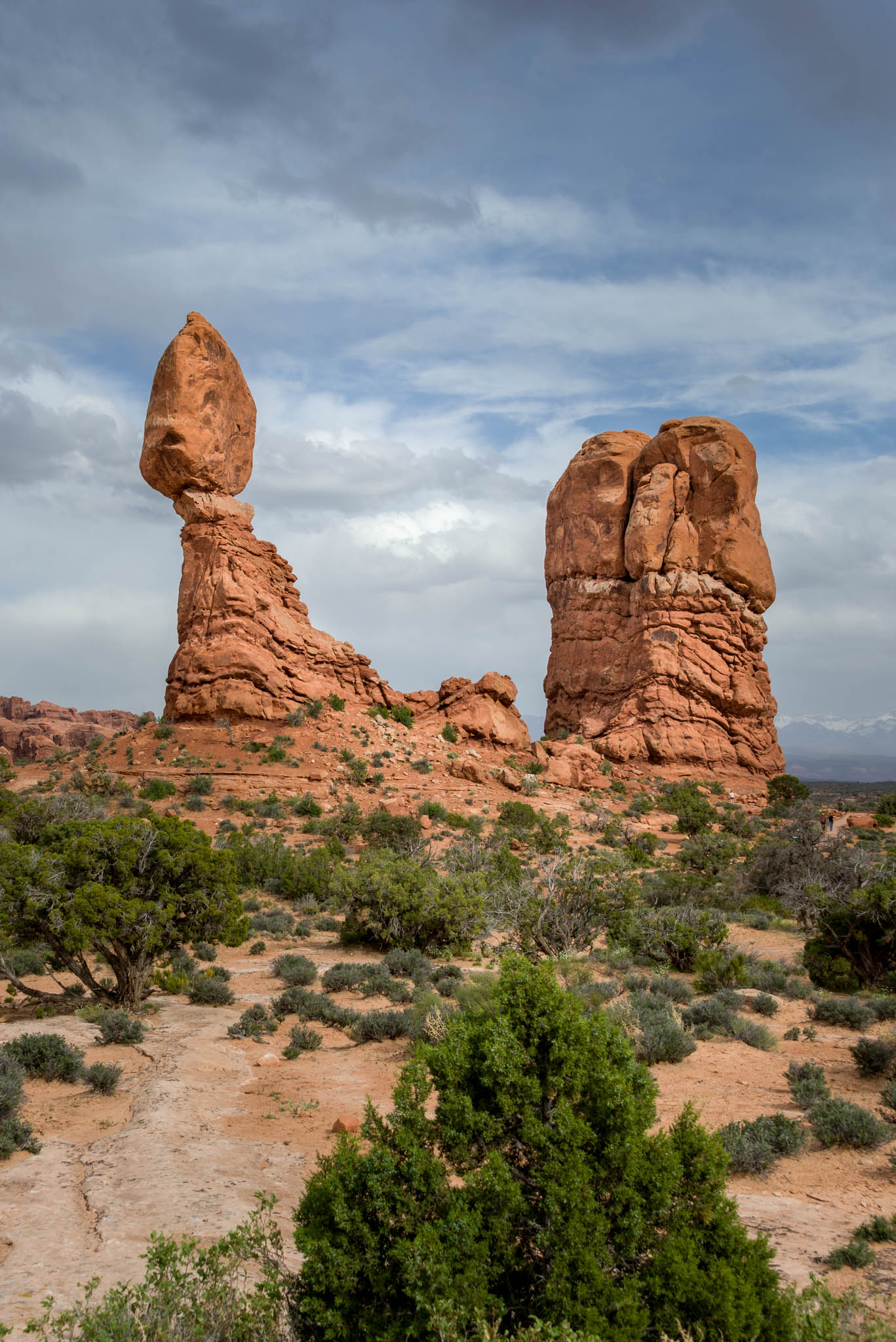DSC_7794.jpg