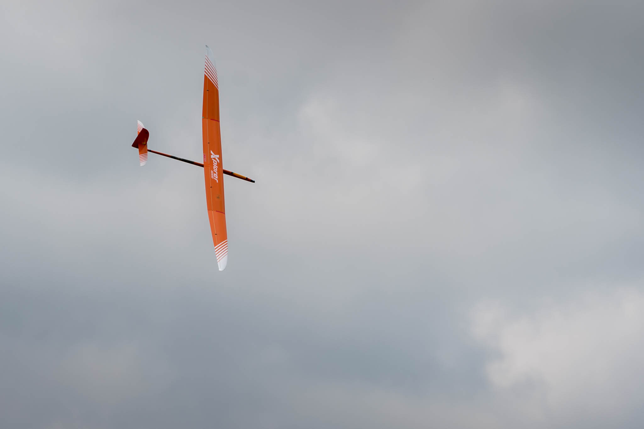 DSC_7779.jpg