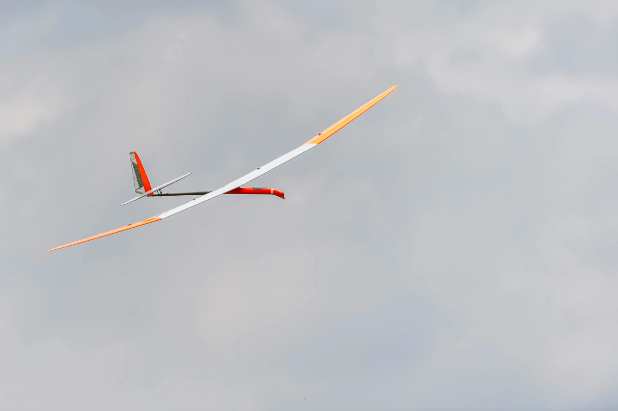 DSC_7717.jpg