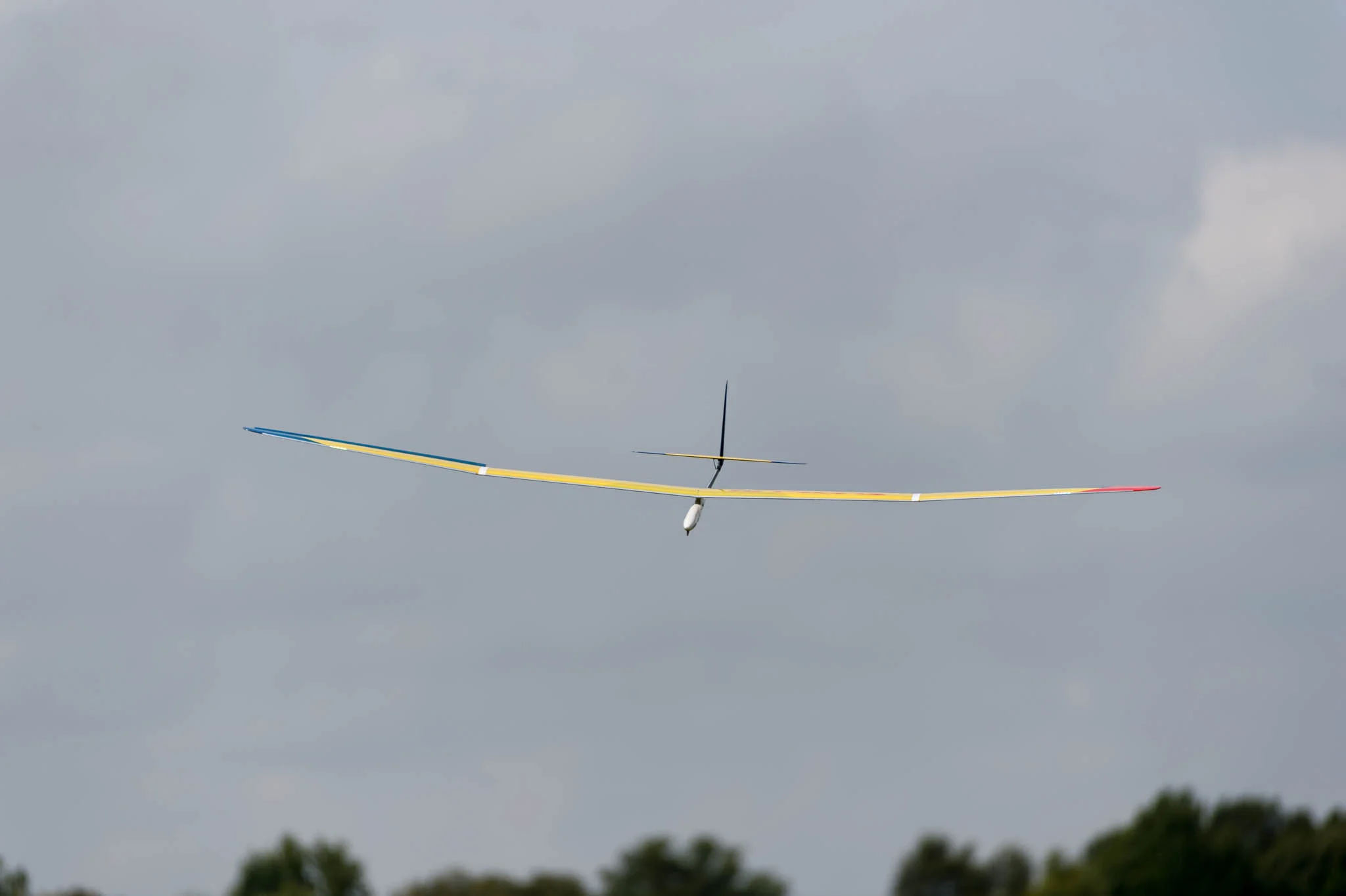 DSC_7678.jpg