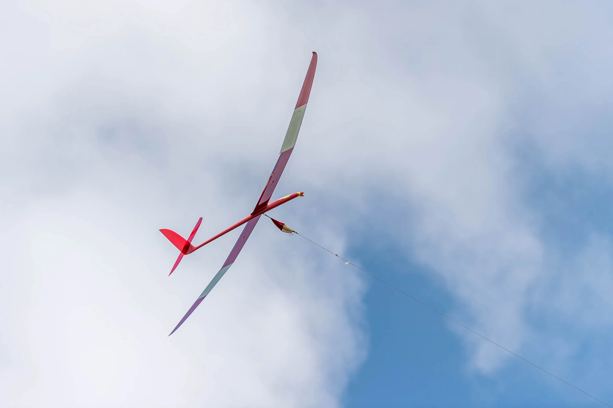 DSC_7668.jpg