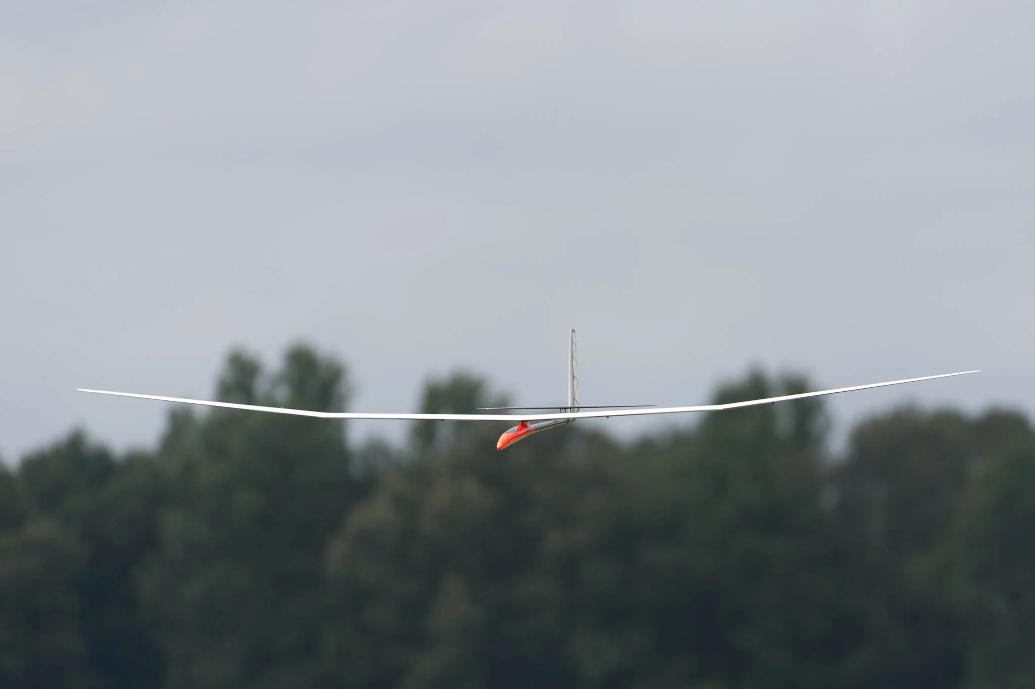 DSC_7618.jpg