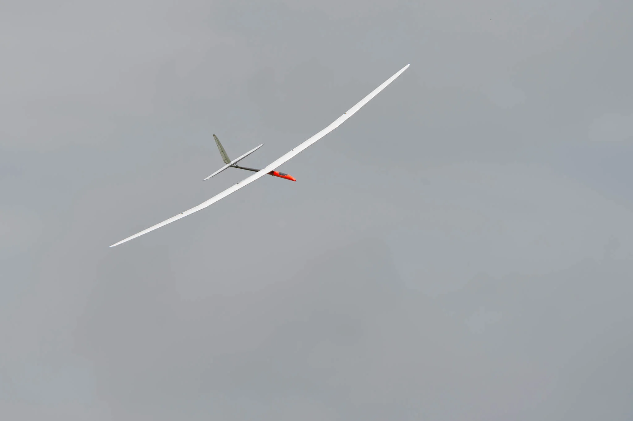 DSC_7617.jpg