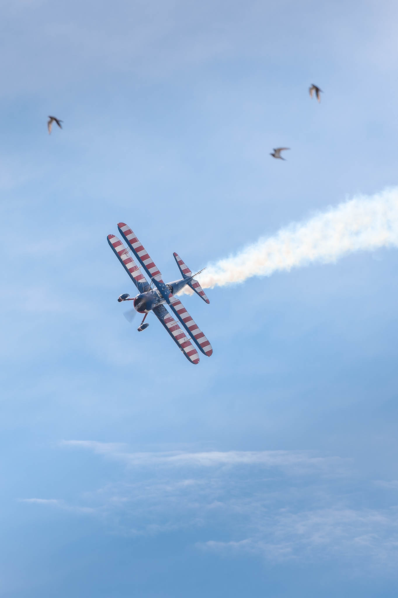 DSC_0037.jpg
