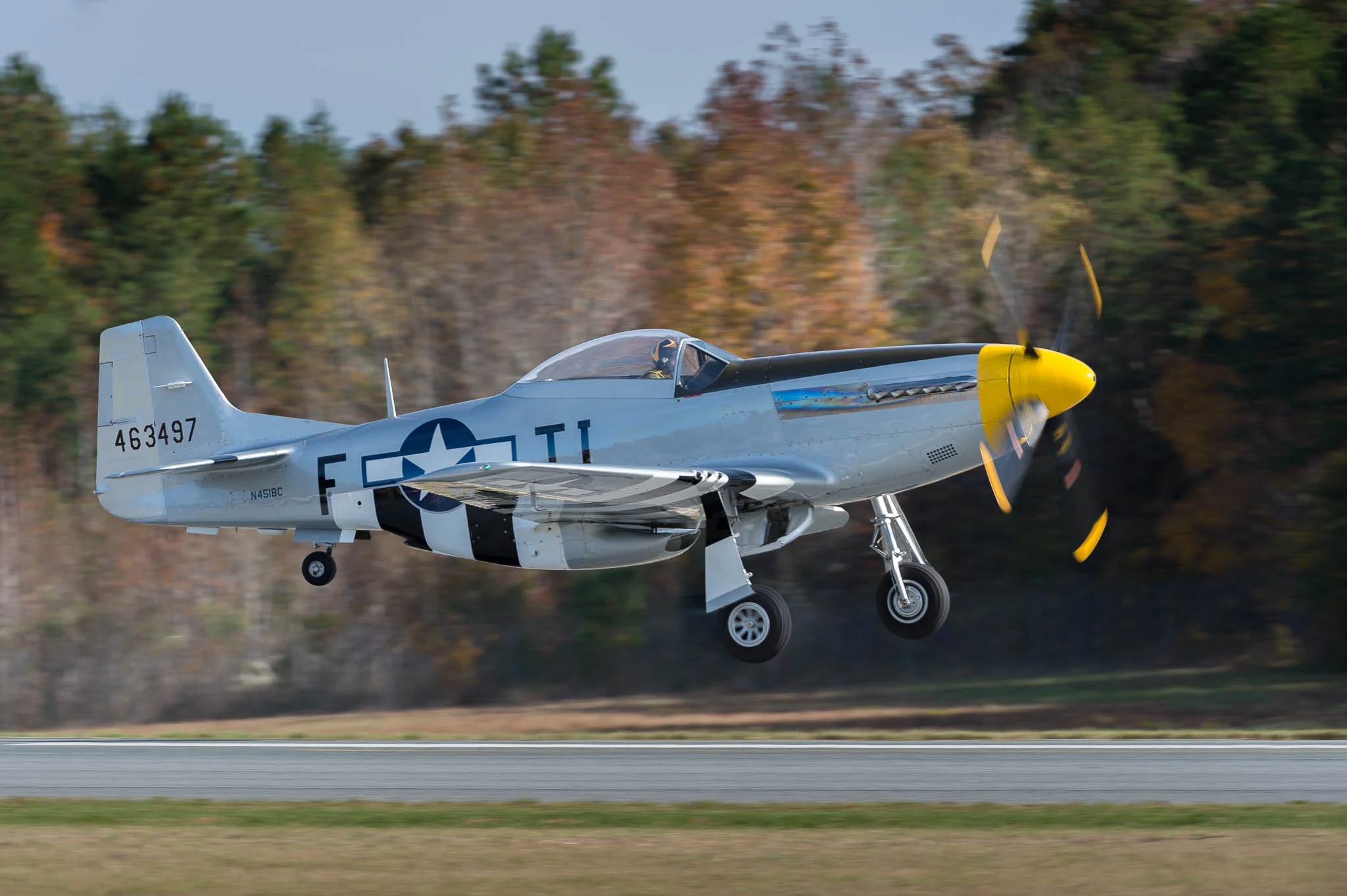 DSC_0799-Edit.jpg