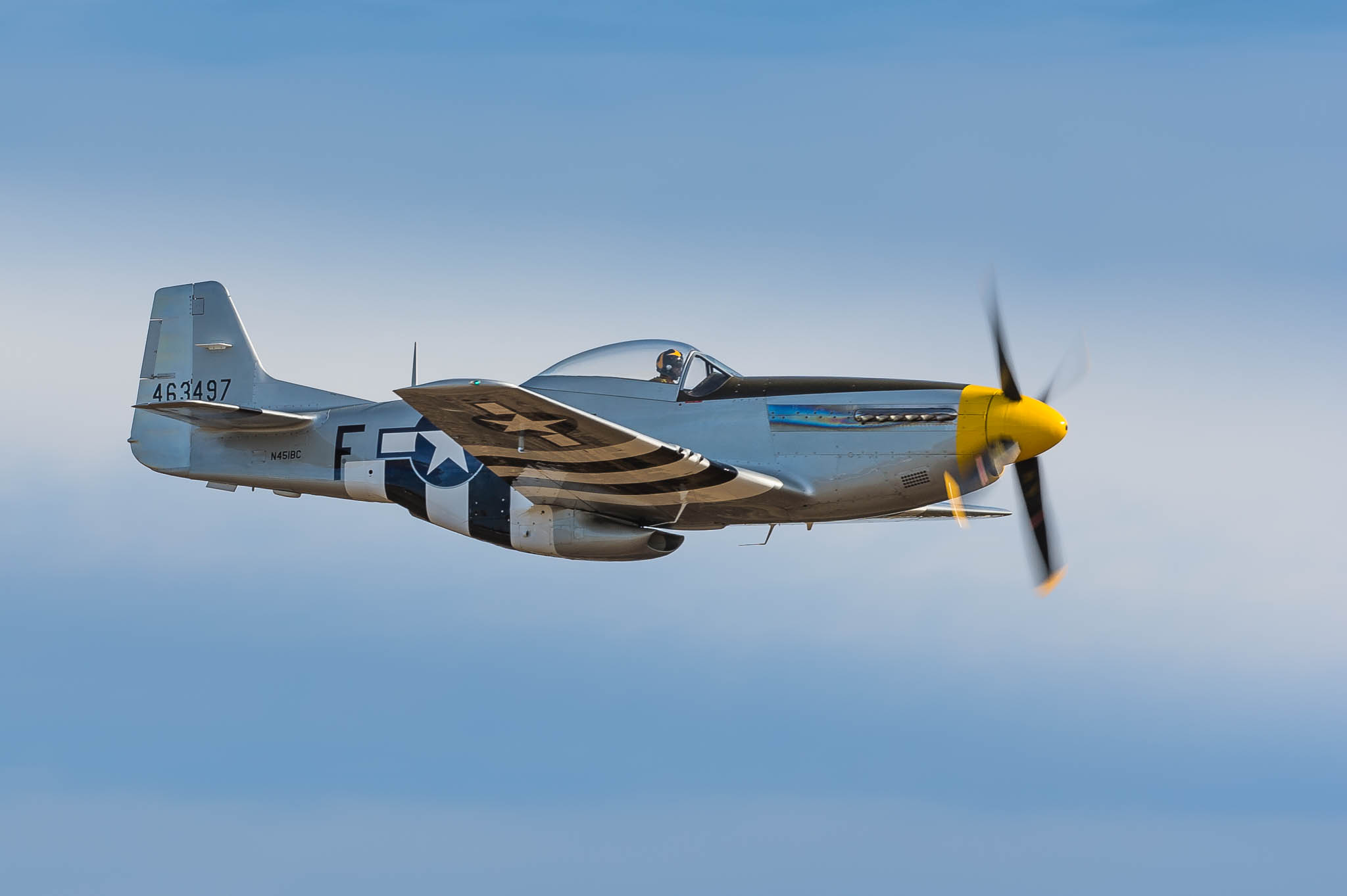 DSC_0878.jpg