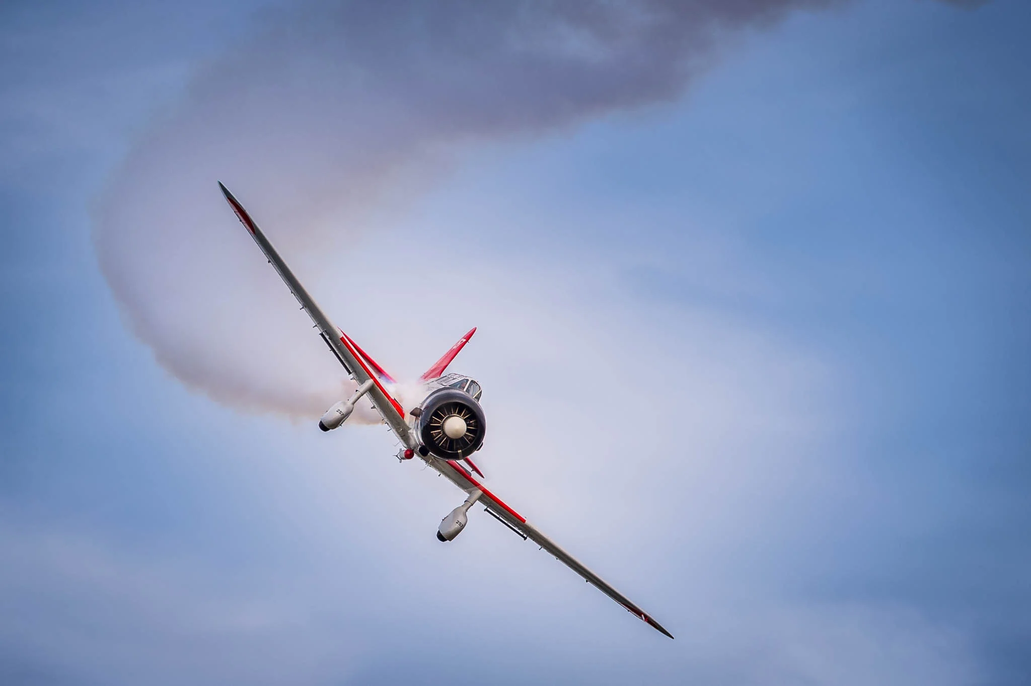 DSC_2018.jpg