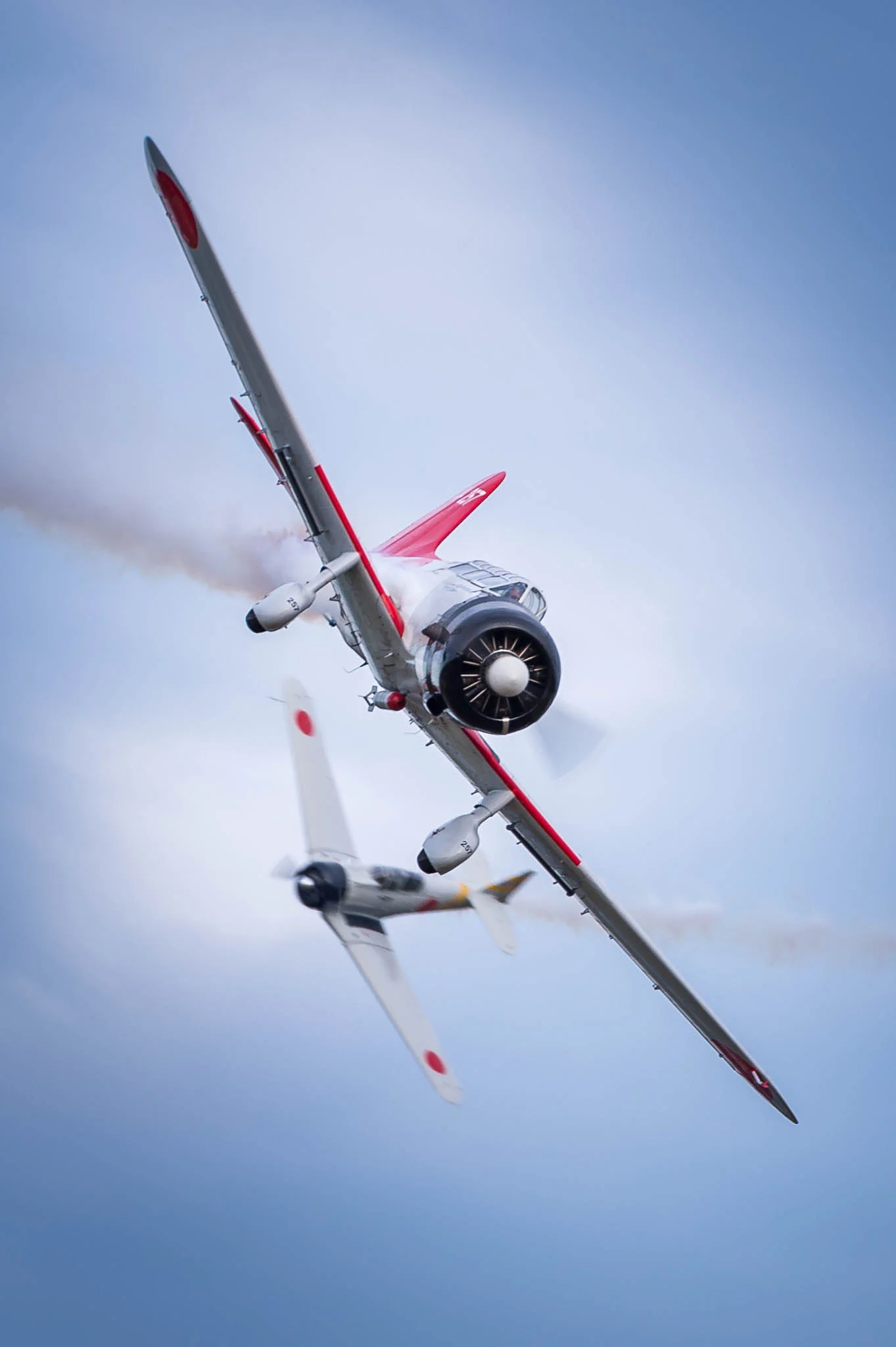 DSC_2019.jpg