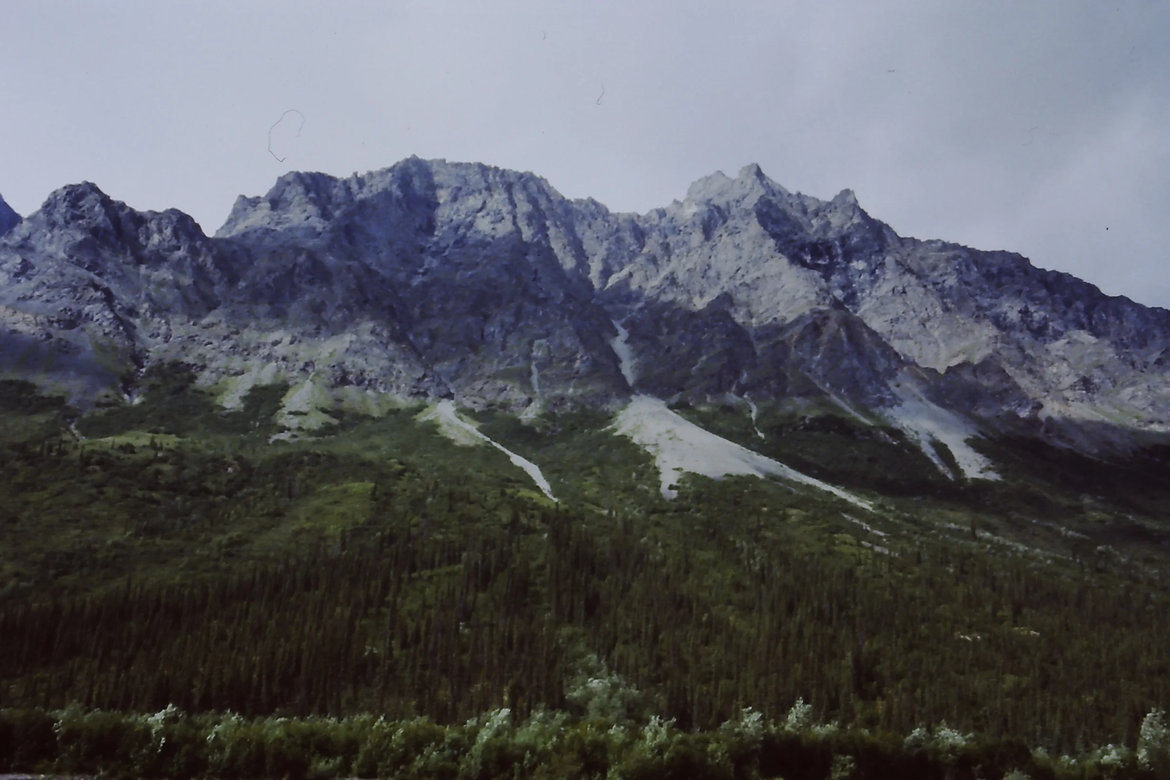 Alaska 96 047.JPG