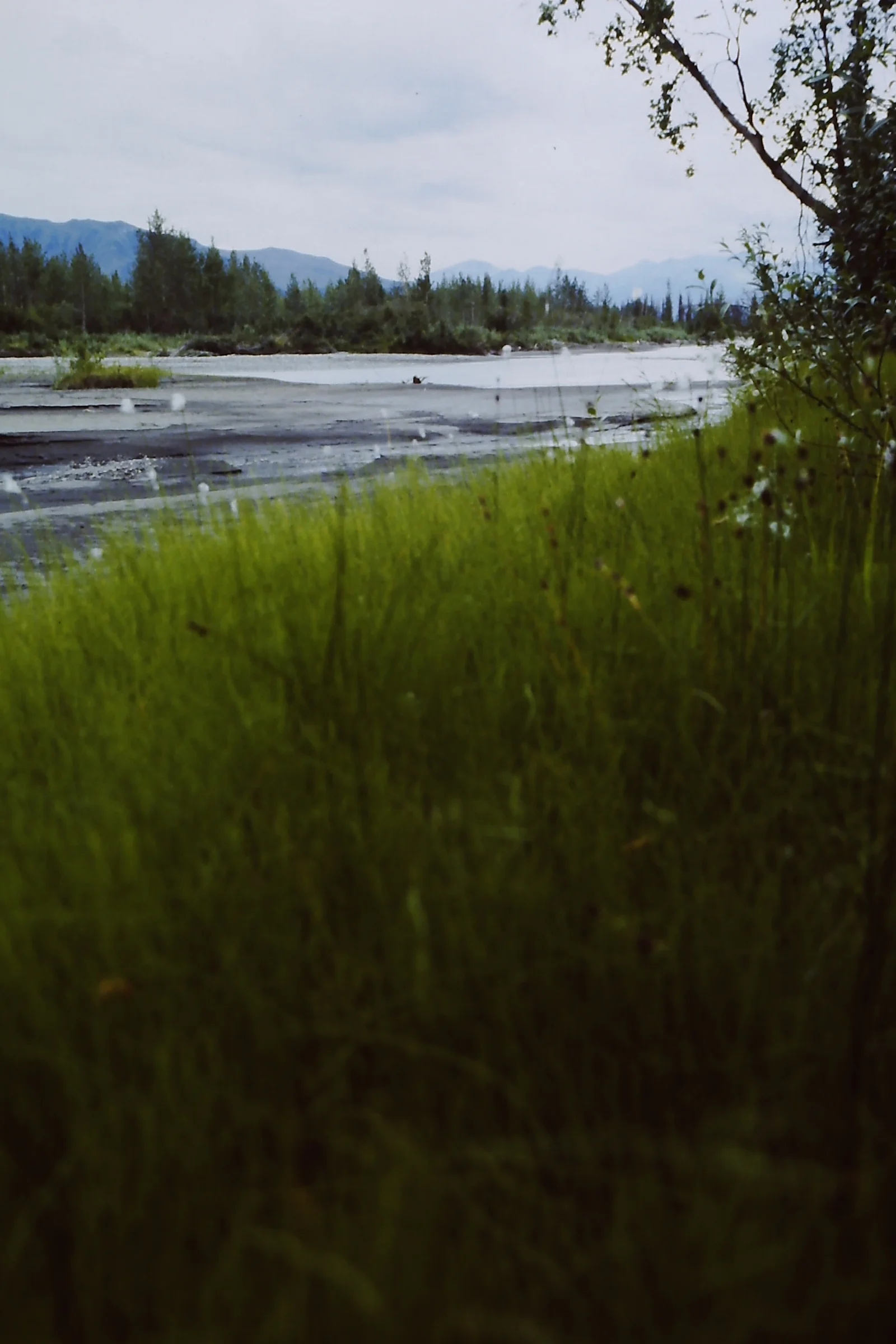 Alaska 96 102.JPG