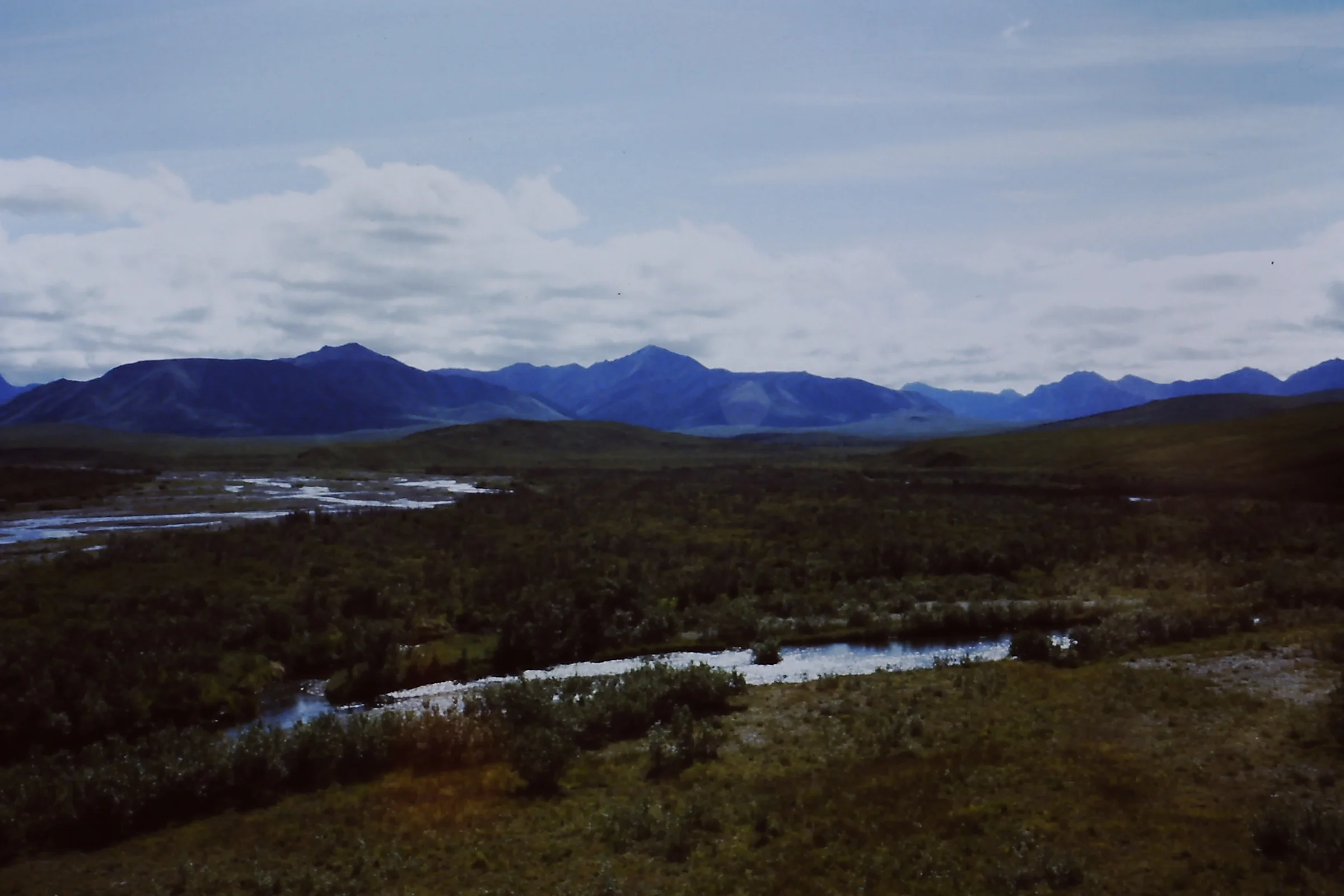 Alaska 96 150.JPG