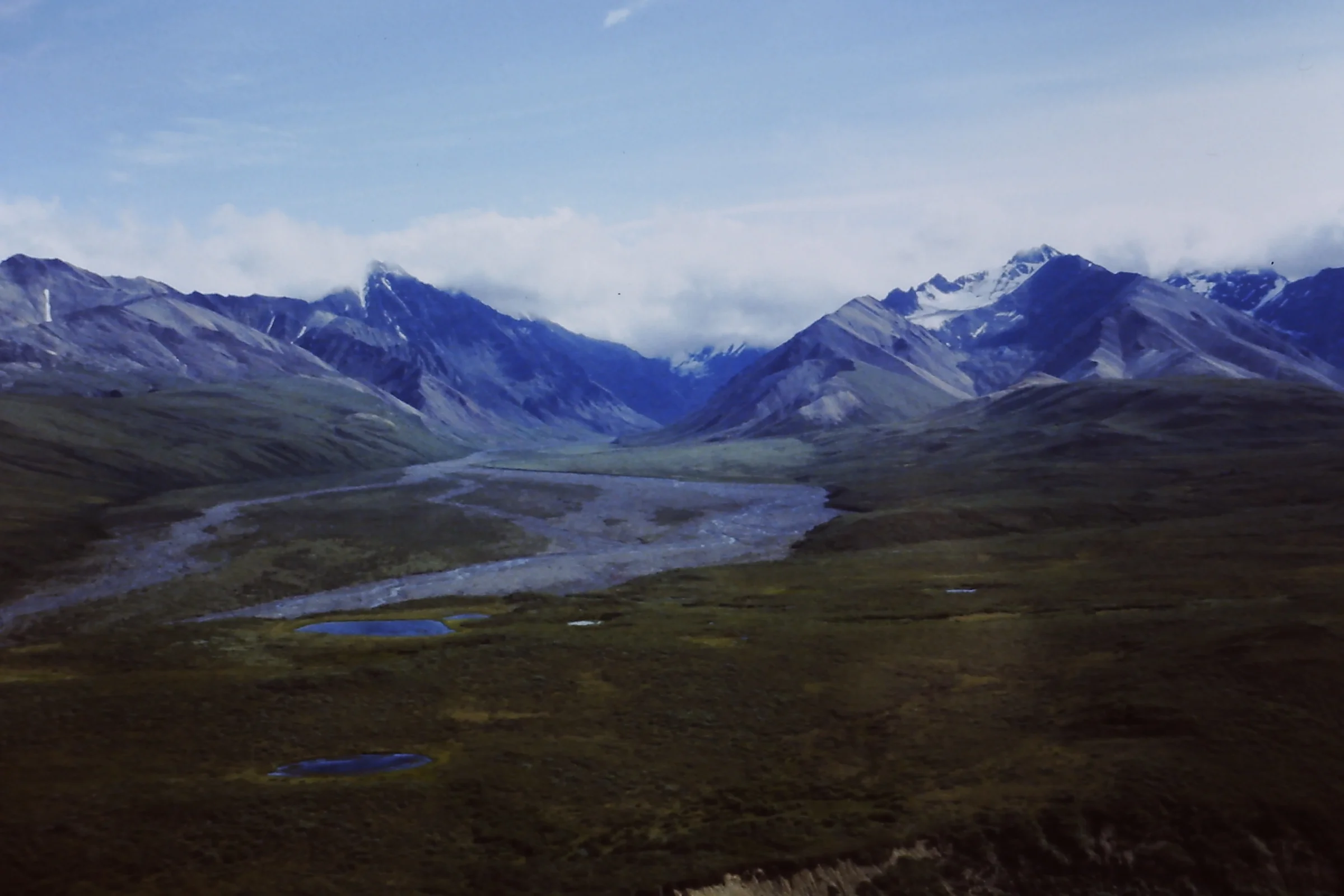Alaska 96 161.JPG